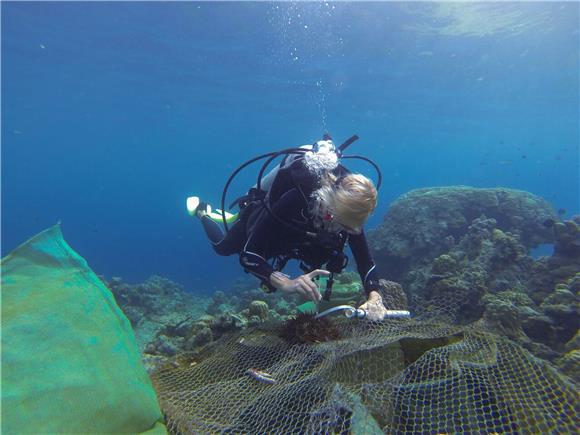 AUSTRALIA GREAT BARRIER REEF