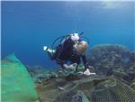 AUSTRALIA GREAT BARRIER REEF