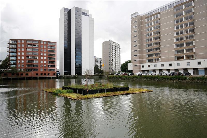 NETHERLANDS URBAN GARDENING