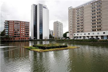 NETHERLANDS URBAN GARDENING