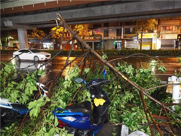 TAIWAN TYPHOON DUJUAN