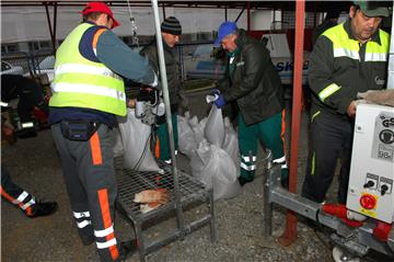  Karlovac započeo obranu od moguće poplave koja se očekuje u petak