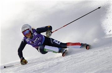 AUSTRIA ALPINE SKIING WORLD CUP