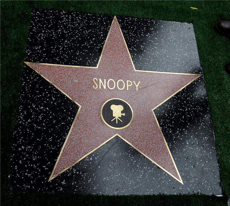 USA CINEMA SNOOPY STAR