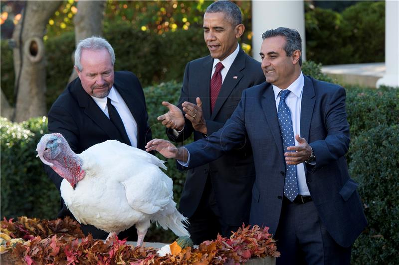 Obama pomilovao purice Honest i Abe za Dan zahvalnosti