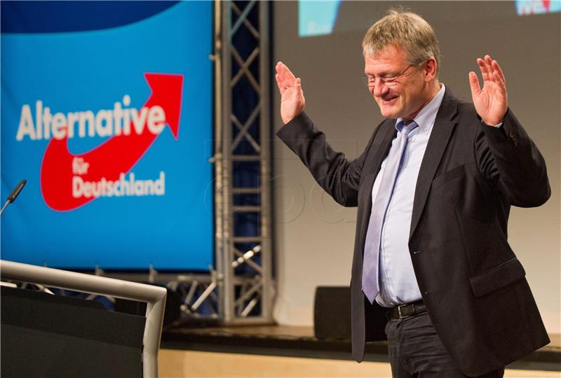 GERMANY PARTIES AFD CONVENTION