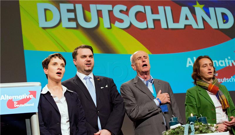 GERMANY PARTIES AFD CONVENTION