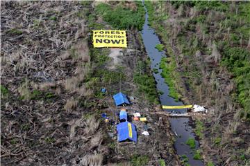 epaselect INDONESIA ENVIRONMENT DEFORESTATION