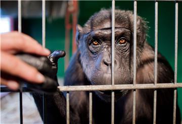 GERMANY ANIMALS CIRCUS