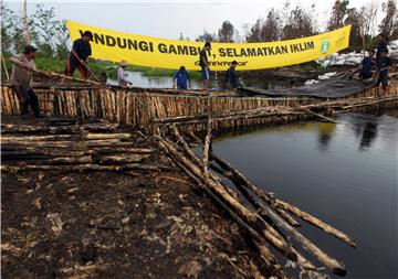 INDONESIA DEFORESTATION