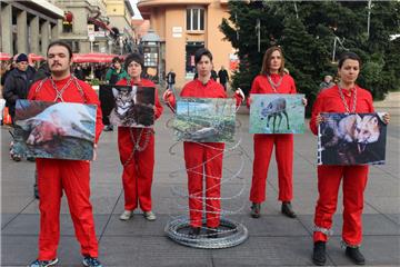 Prijatelji životinja u lancima, uz žilet-žicu i prikaz uznemirujućih fotografija