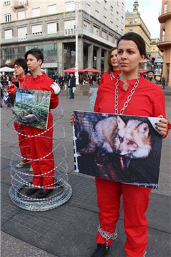 Prijatelji životinja u lancima, uz žilet-žicu i prikaz uznemirujućih fotografija