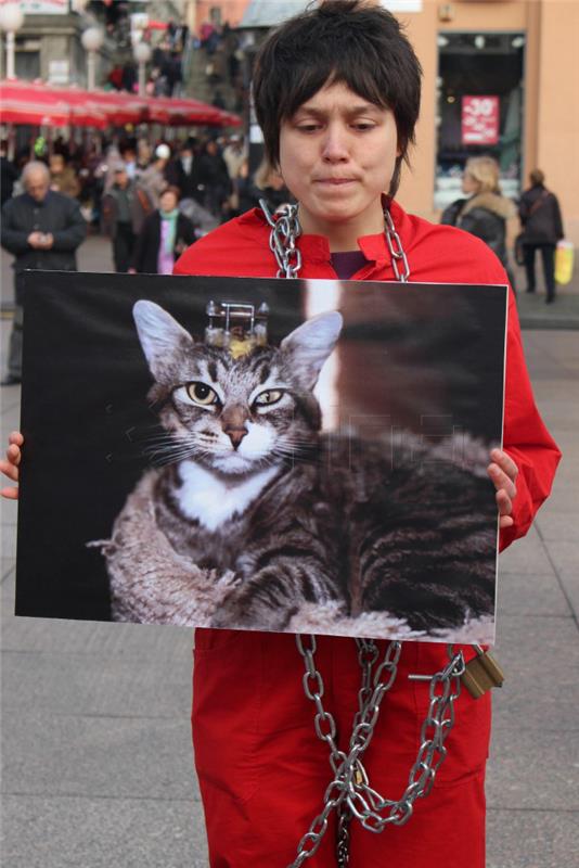 Prijatelji životinja u lancima, uz žilet-žicu i prikaz uznemirujućih fotografija