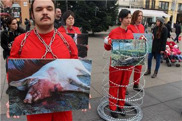 Prijatelji životinja u lancima, uz žilet-žicu i prikaz uznemirujućih fotografija