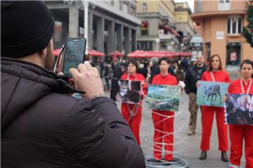 Prijatelji životinja u lancima, uz žilet-žicu i prikaz uznemirujućih fotografija