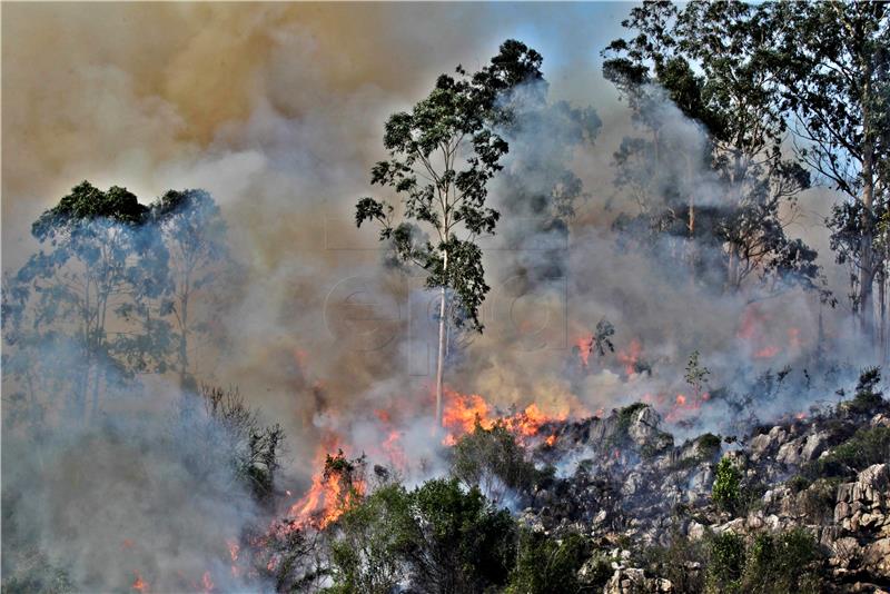 SPAIN FOREST FIRES