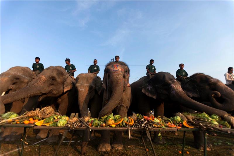 NEPAL ELEPHANTS CULTURE