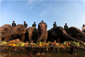 NEPAL ELEPHANTS CULTURE