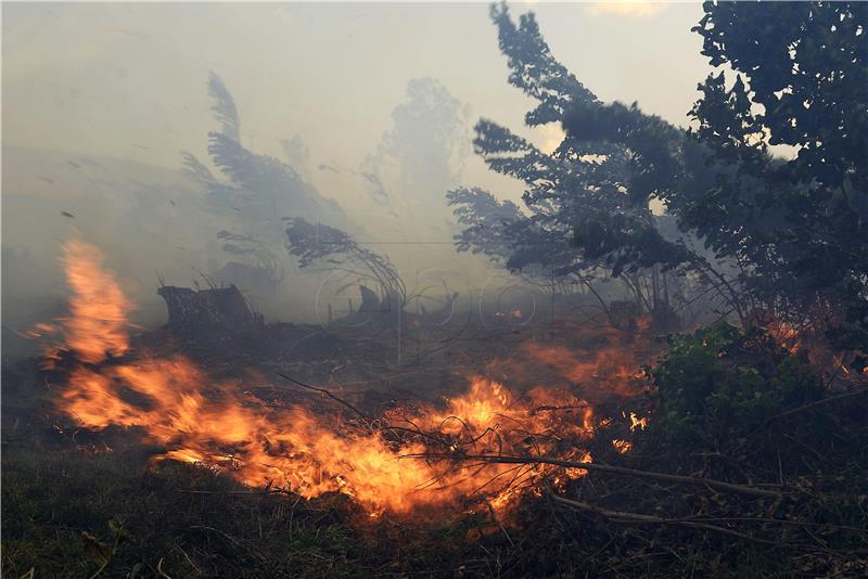 SPAIN FOREST FIRES