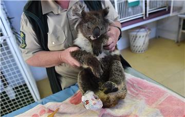 AUSTRALIA BUSHFIRES