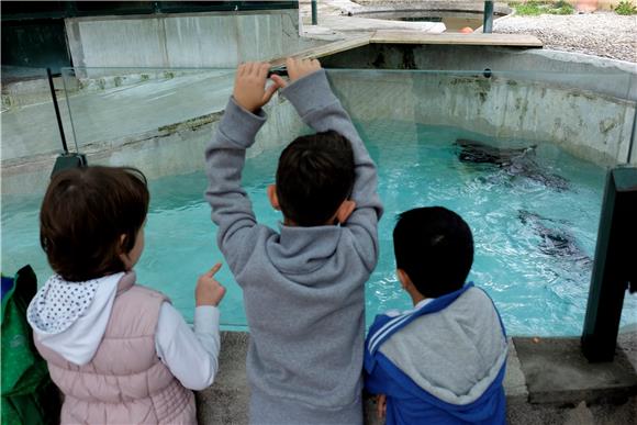 Zoolimpijada u zagrebačkome ZOO-u