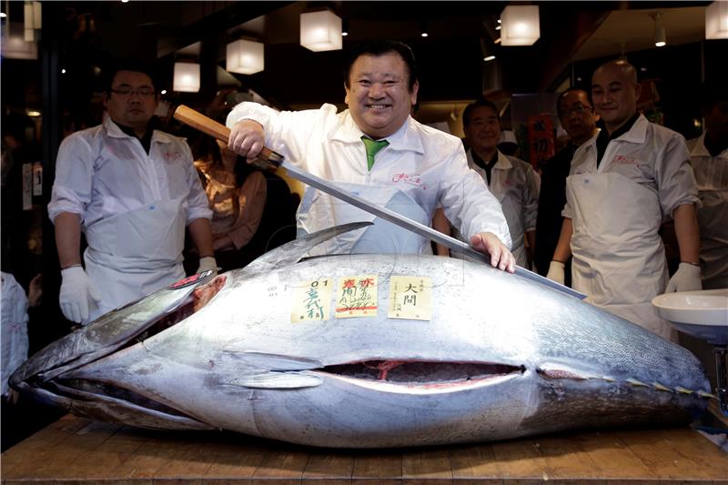 JAPAN GASTRONOMY TUNA AUCTION