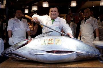 JAPAN GASTRONOMY TUNA AUCTION