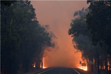 AUSTRALIA BUSHFIRES