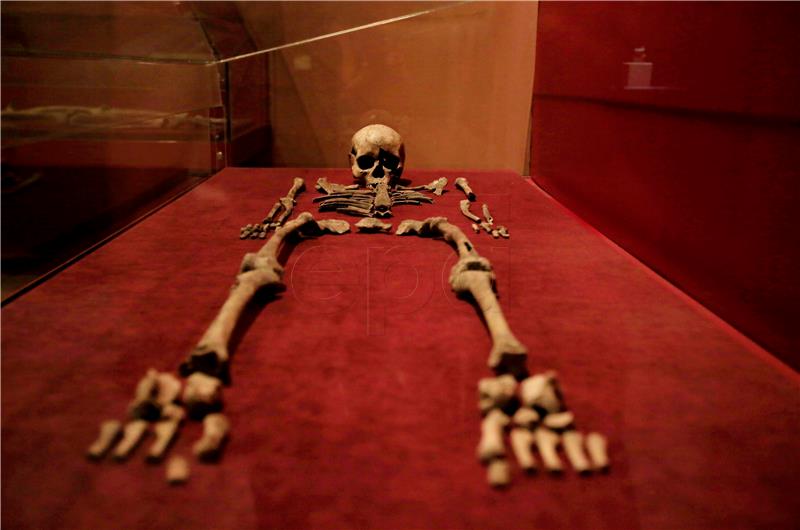 THAILAND ARCHAEOLOGY BAN CHIANG SKELETON