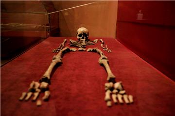 THAILAND ARCHAEOLOGY BAN CHIANG SKELETON