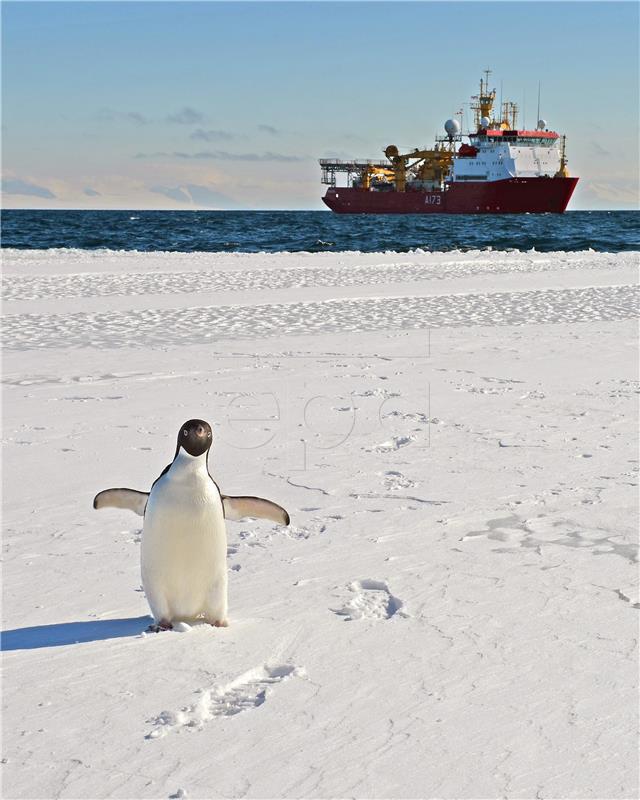 ANTARTIC BRITAIN DEFENCE SURVEY SHIP