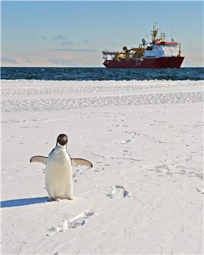 ANTARTIC BRITAIN DEFENCE SURVEY SHIP