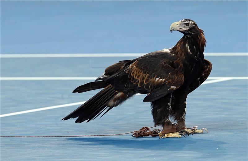 AUSTRALIA TENNIS AUSTRALIAN OPEN GRAND SLAM