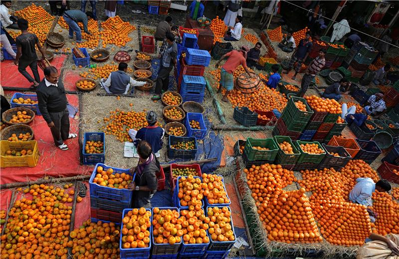 INDIA ECONOMY FRUIT BUSINESS