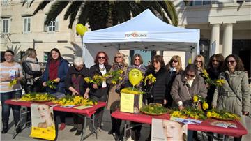 Splićani razgrabili mimoze za Nacionalni dan borbe protiv raka vrata maternice