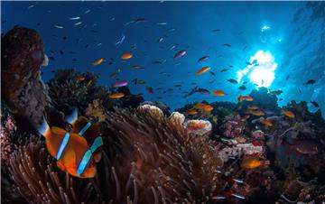 AUSTRALIA GREAT BARRIER REEF