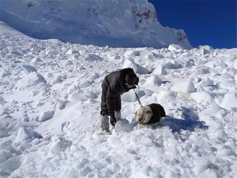 INDIA SIACHEN RESCUE OPERATIONS