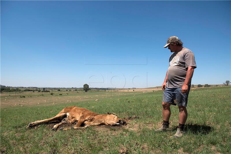 SOUTH AFRICA DROUGHT