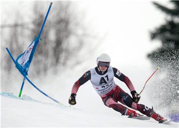 AUSTRIA ALPINE SKIING WORLD CUP