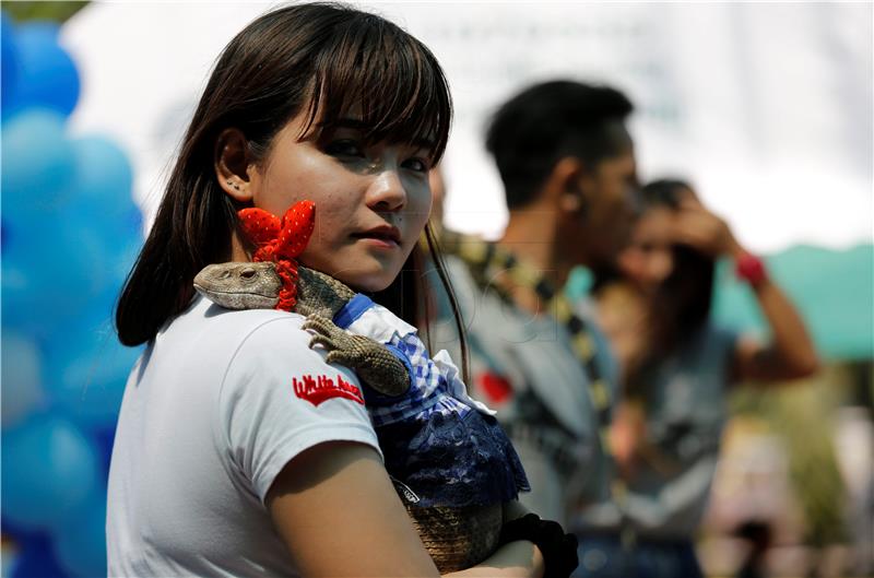 THAILAND ANIMALS PET SHOWS TURN EXOTIC