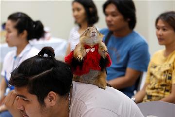 THAILAND ANIMALS PET SHOWS TURN EXOTIC