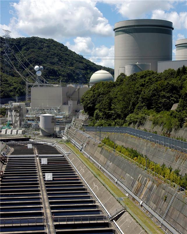 FILE JAPAN NUCLEAR PLANT