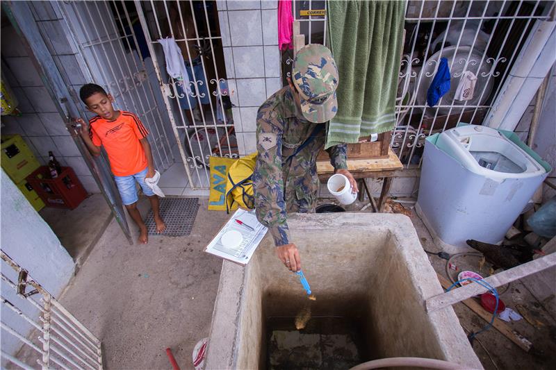 Zika: u Brazilu potvrđen 641 slučaj oboljelih od mikrocefalije, 139 umrlih