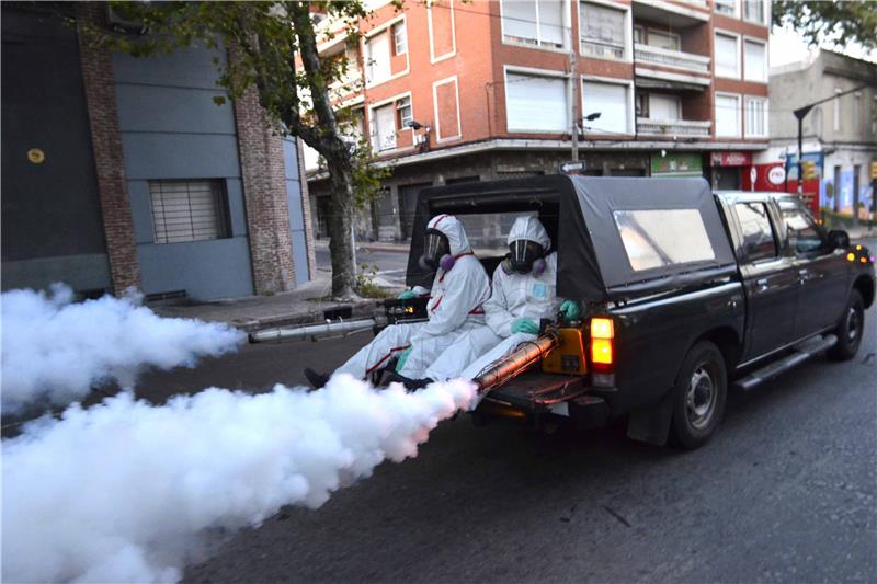 Brazilski znanstvenici vjeruju da još jedna vrsta komaraca može prenositi zika virus