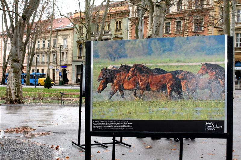 Zelena akcija s partnerima u projektu Sava kultura