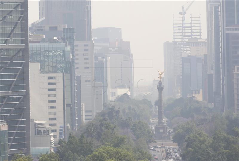 MEXICO ENVIRONMENT POLLUTION