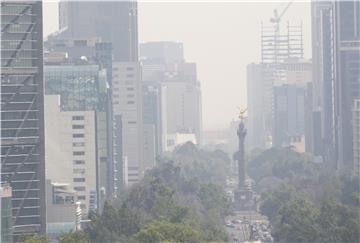 MEXICO ENVIRONMENT POLLUTION