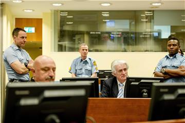 NETHERLANDS ICTY TRIAL KARADZIC