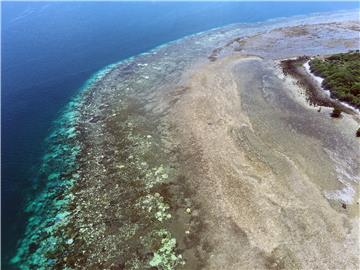 AUSTRALIA GREAT BARRIER REEF CORAL BLEACHING