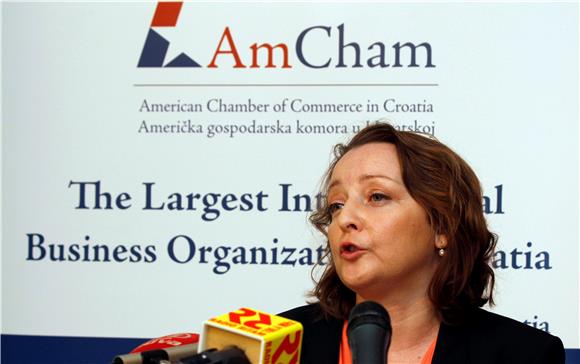 AmCham proposes solutions to shortcomings in public procurement